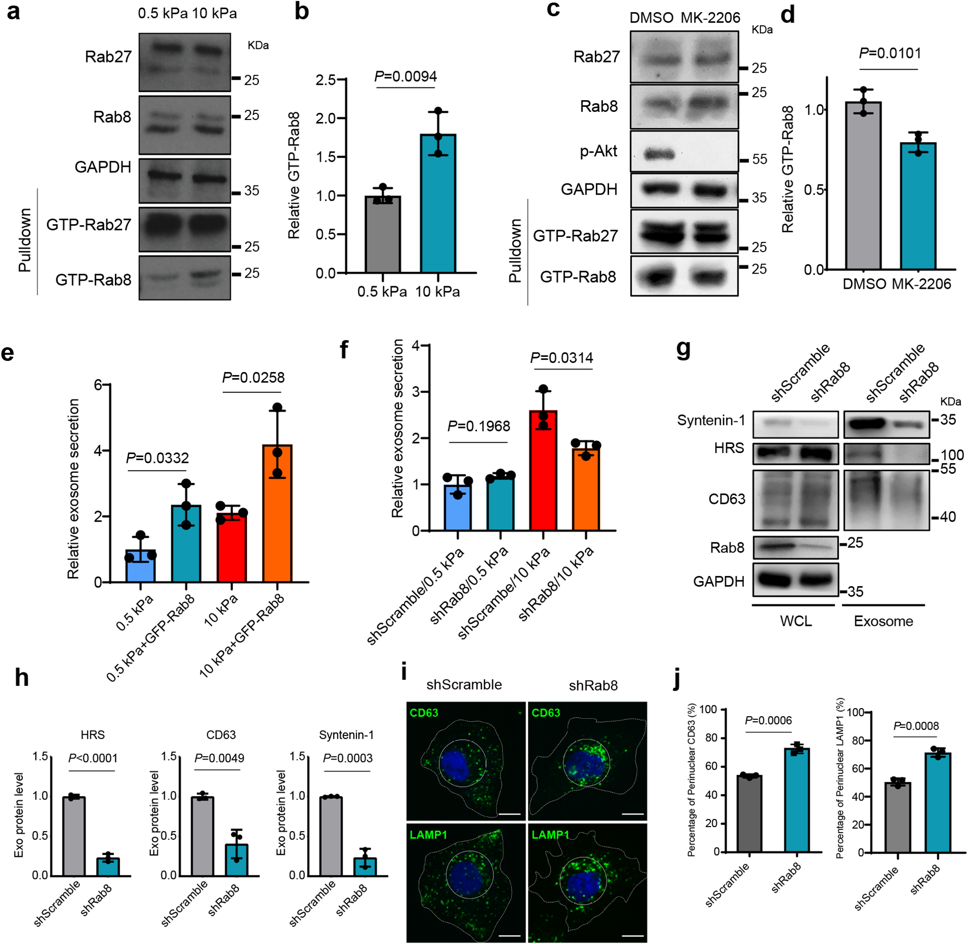 外泌体检测 外泌体检测