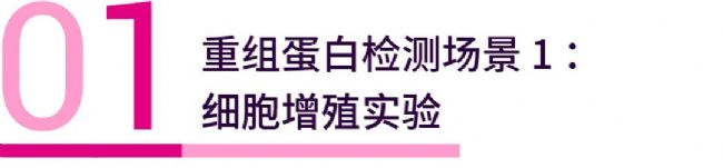 重组蛋白在各种细胞实验中具有重要作用 - MedChemExpress