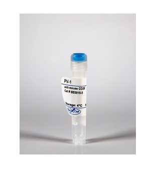BioXcell特色推荐——InVivoMAb anti-mouse CD28