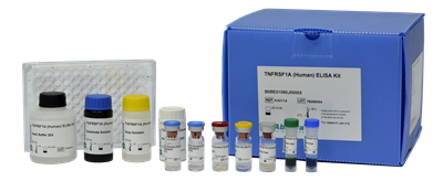 PAB29830白念珠菌多克隆抗体超值优惠，助力实验室升级