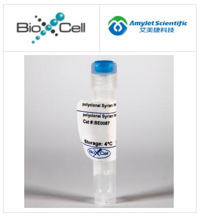 艾美捷BioXCell体内单克隆生物抗体多克隆叙利亚仓鼠IgG方案 艾美捷BioXCell体内单克隆生物抗体多克隆叙利亚仓鼠IgG方案