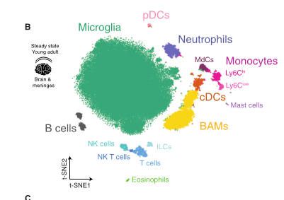 为什么要用降维分析T-SNE展示流式数据