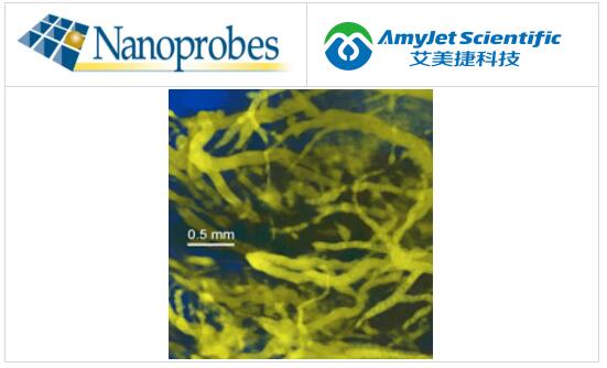 Nanoprobes丨AuroVist 15 nm:金血池 X 射线造影剂 Nanoprobes丨AuroVist 15 nm:金血池 X 射线造影剂