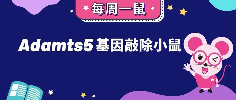 关节炎的元凶——Adamts5【每周一鼠】