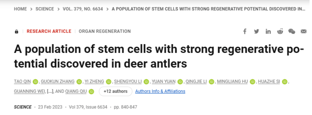 抗体文献分享：我国科学家在鹿角中发现具有强大再生潜力的干细胞群