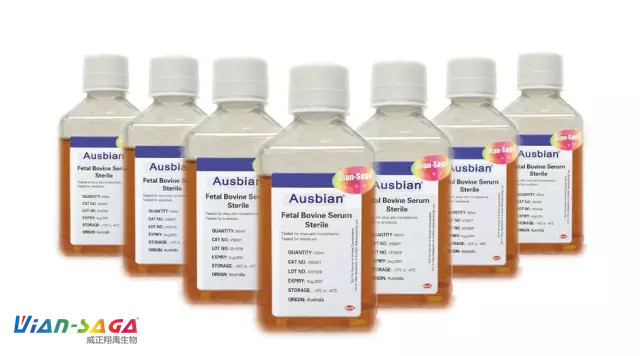 血清中的小牛血清、新生牛血清、胎牛血清三者的区别
