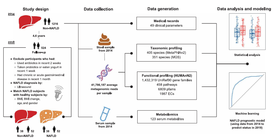 肝病合集 | 麦特绘谱助力肝病相关研究成果
