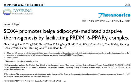 米色脂肪如何成为对抗肥胖的潜在新靶点？厦大团队揭示其介导的产热新机制
