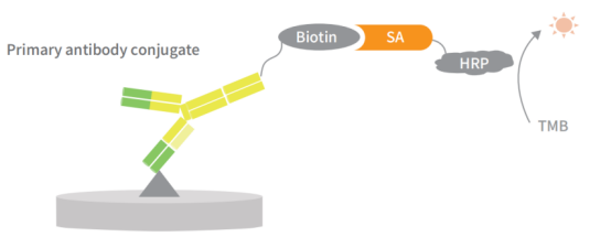 宿主细胞蛋白HCP残留检测试剂盒强势登场！