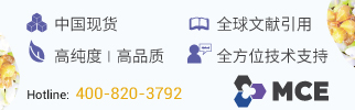 新闻图片3