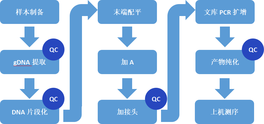 二代测序（NGS）质控要点解析