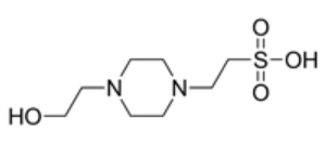 简单速览HEPES（供注射用）的基本信息