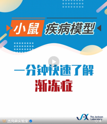 小鼠模型在渐冻症研究中的应用