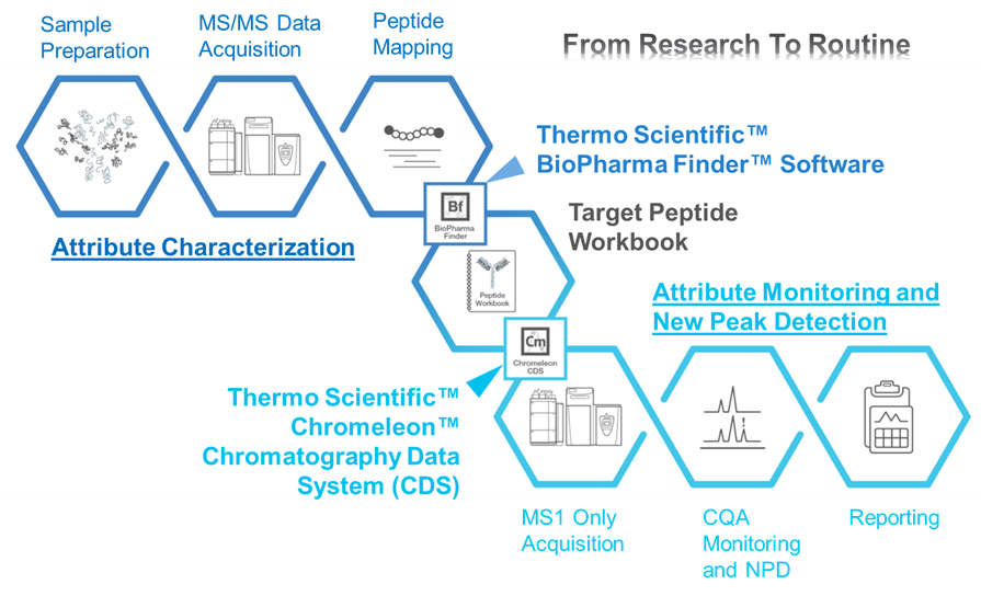 可比性研究|使用HR-MAM方法对原研药与其生物类似药进行可比性研究