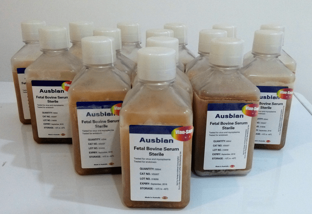 Ausbian胎牛血清助力细胞学科研新发现 