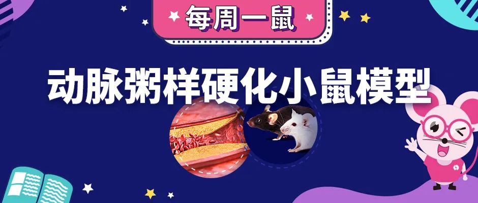 动脉的“拦路虎”，让身体吃尽苦头