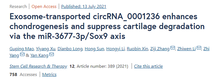 外泌体转运的circRNA_0001236通过miR-3677-3p/Sox9轴增强软骨形成并抑制软骨降解