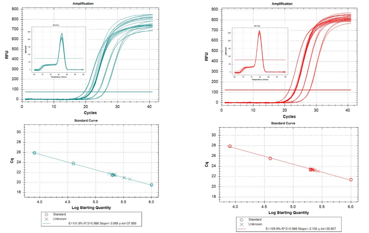 排名揭晓 | 23年最美曲线大赛开奖啦！  
