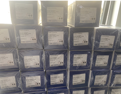 多样本测定，高灵敏度艾美捷P物质ELISA试剂盒