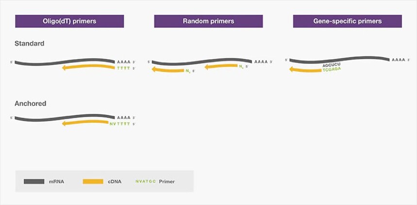 1697678031608483.jpg 1697678031608483.jpg