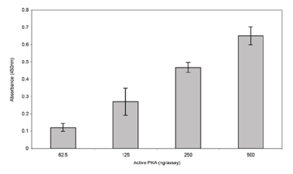 PKA激酶活性检测,如何选择高效的试剂盒? PKA激酶活性检测,如何选择高效的试剂盒?