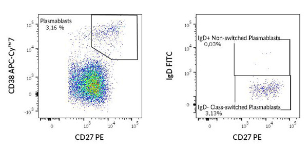 使用ED7704 抗体分泌B细胞筛选试剂盒