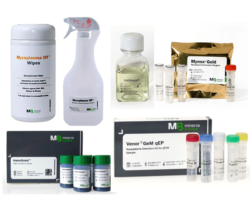 怎样对症下药，挑选支原体祛除试剂 