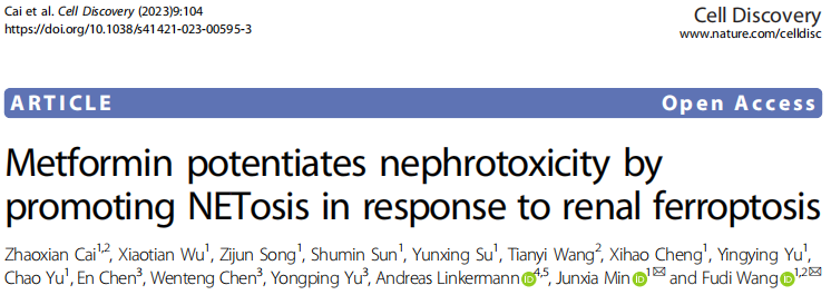 Cell Discov | 南模生物助力揭示二甲双胍加重肾病的新机制