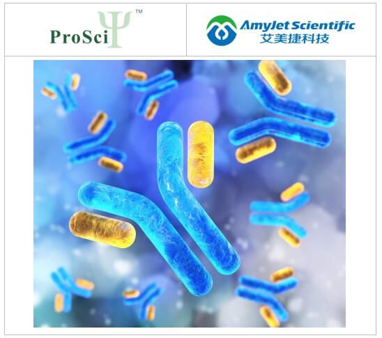 艾美捷ProSci丨ProSci 开发聚糖特异性抗体方案