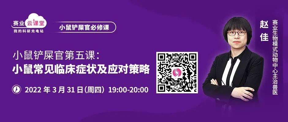 小鼠代谢和营养疾病知多少