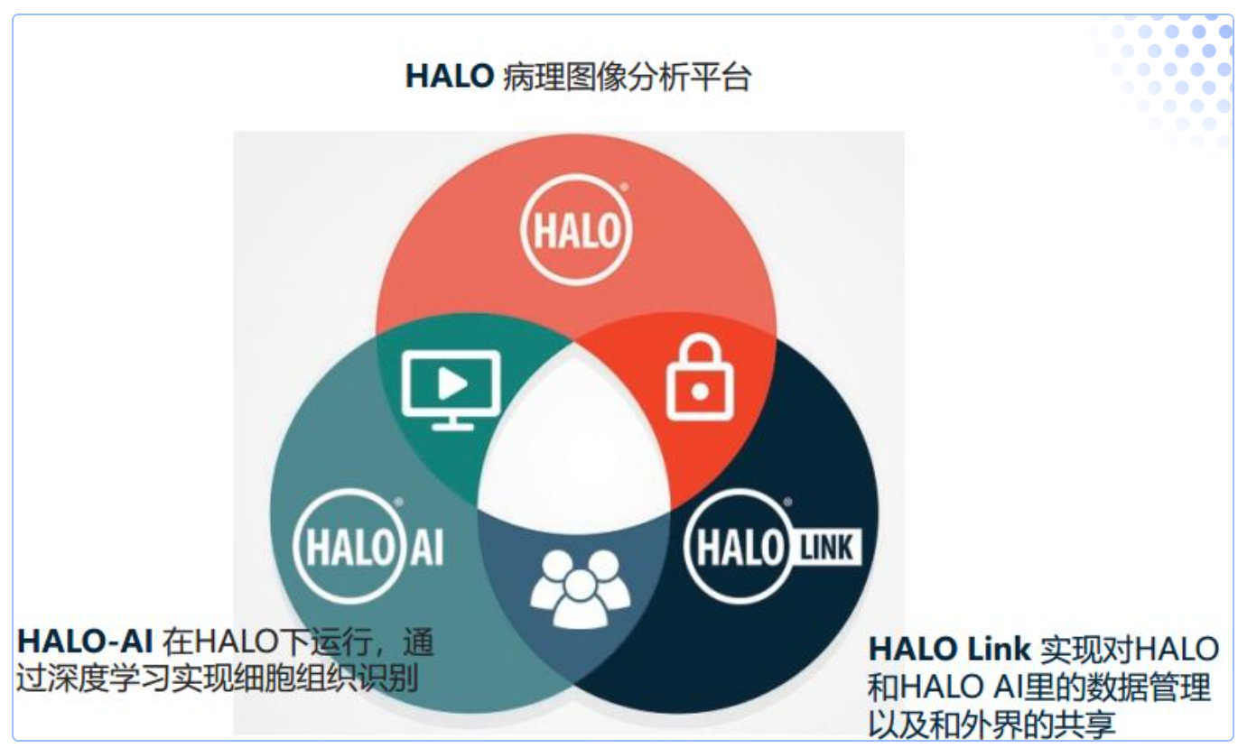 优宁维病理图像分析平台，精准信息一瞬送达