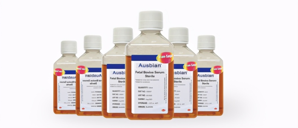 内毒素是决定胎牛血清好坏的标准