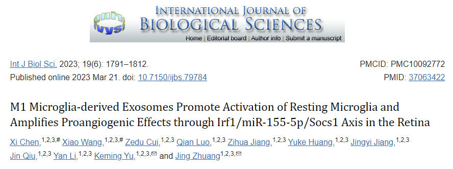 【Int J Biol Sci】 9+，M1小胶质细胞来源的外泌体促进静息小胶质细胞的激活并放大促血管生成作用