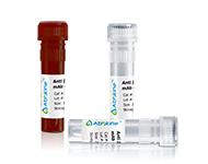 51.jpg 新闻图片1