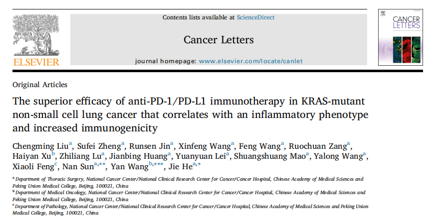 LabEx多因子平台，助力PD -1/PD-L1免疫治疗NSCLC研究