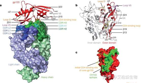 艾柏森X-射线晶体学技术原理