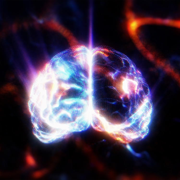 颅内压、呼吸和生物钟的变化，以及交感神经介导的高血压