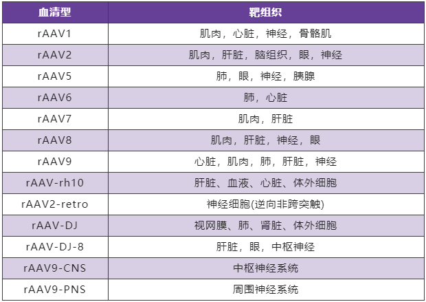 影响rAAV实现体内基因操作实验结果的关键