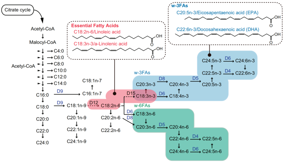 方法速递 | 认识游离脂肪酸