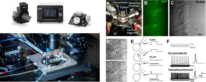 免费试用新品｜电动显微操纵器，是你“动”悉微世界的好帮手