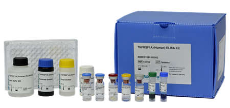 双抗夹心法定量检测：HIV-1 p24 ELISA试剂盒解决方案