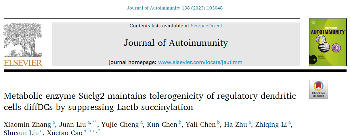 客户案例 | IF 13：曹雪涛院士等利用多组学技术揭示代谢酶Suclg2通过抑制Lactb琥珀酰化维持树突状细胞的耐受性