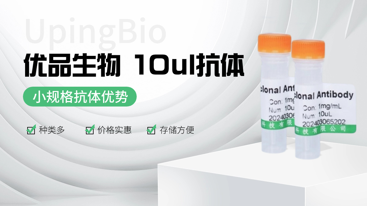 优品生物 超20000+ 10ul抗体系列