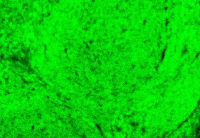 多色结果不理想？快进来看看是怎么个事儿