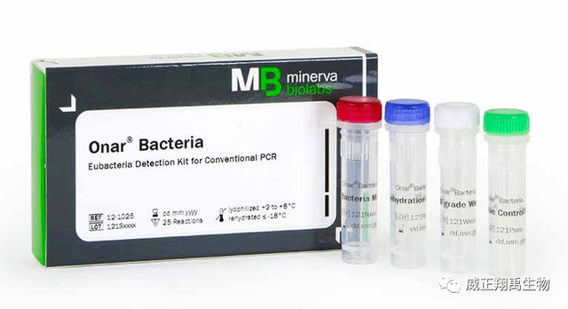 细胞培养中的污染监控与检测——细菌