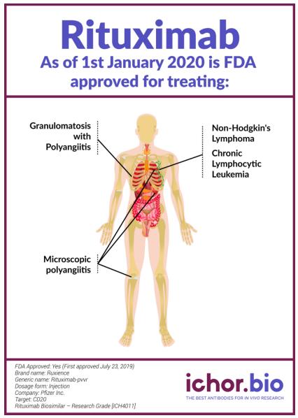 艾美捷利妥昔单抗Rituximab化学性质说明 艾美捷利妥昔单抗Rituximab化学性质说明
