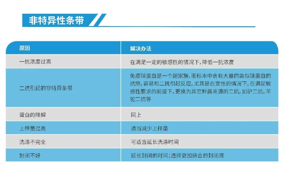 你们要的免疫印迹（WB）教程来了！我不信看完这个你还学不会