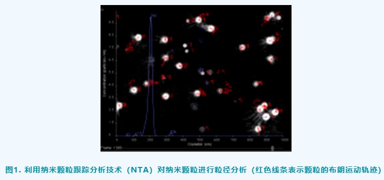 技术标准解析 - CDE纳米药物质量控制研究技术指导原则解读（二）