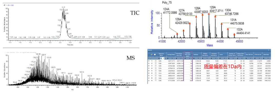 解锁高阶模式,Oligo全面表征流程