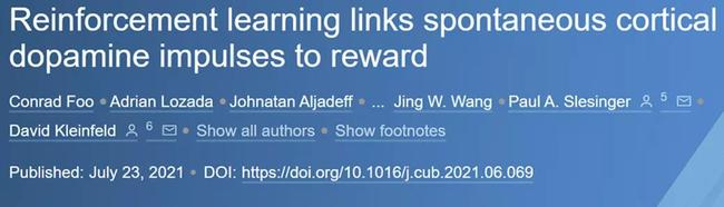 【研究进展】研究发现小鼠竟会掌控多巴胺分泌